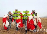 lol竞猜:一线参赛队伍备战表现优异，备战情况备受关注