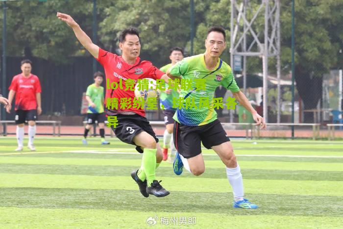 lol竞猜:足球联赛精彩纷呈，球队风采各异